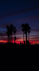 Preview wallpaper sunset, silhouettes, palm trees, people, tropics, sky