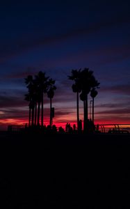 Preview wallpaper sunset, silhouettes, palm trees, people, tropics, sky