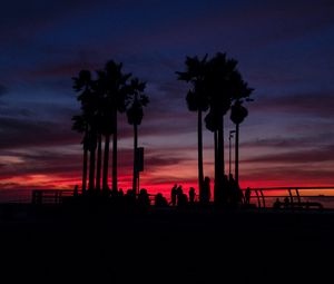 Preview wallpaper sunset, silhouettes, palm trees, people, tropics, sky