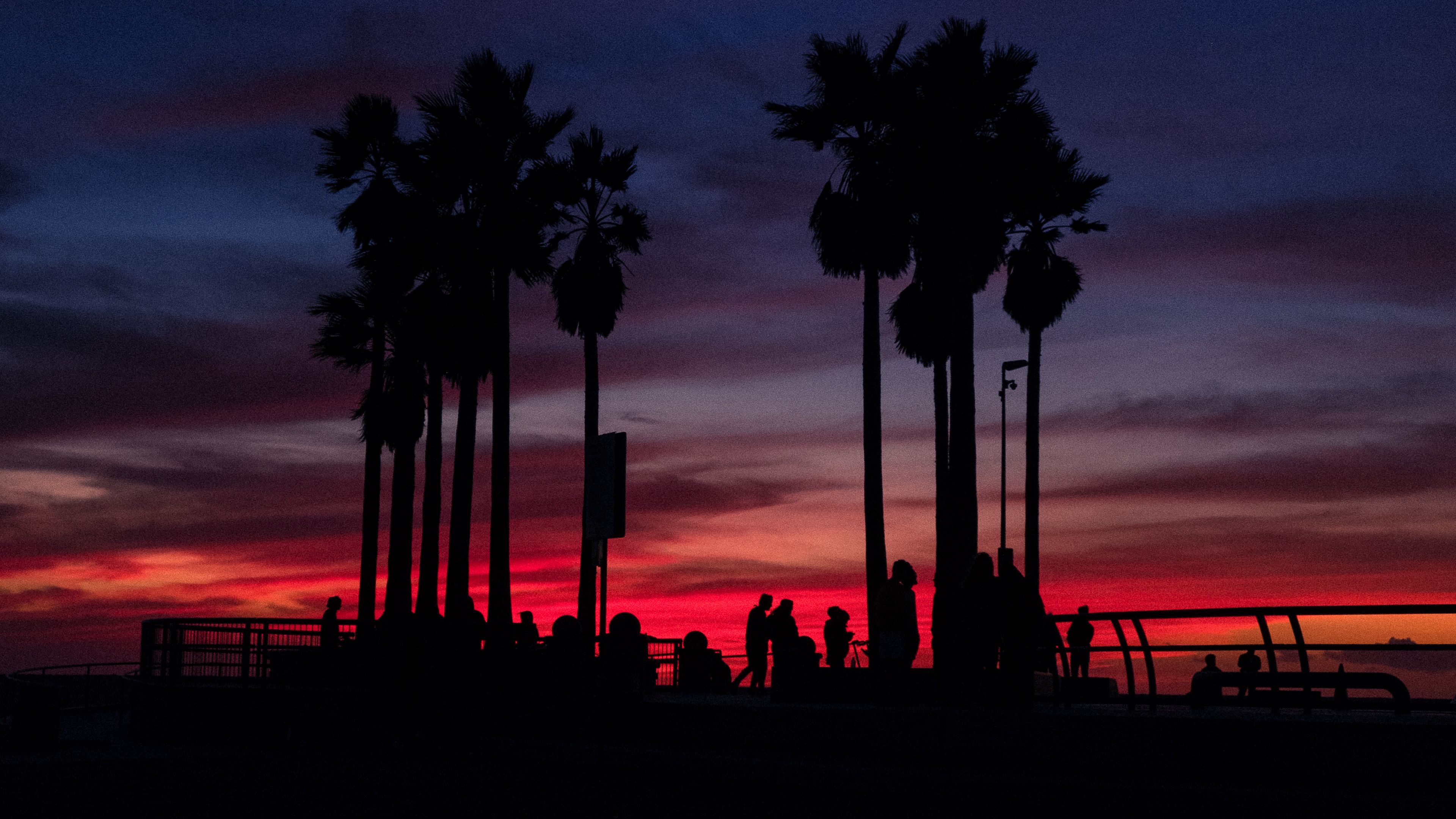 Download wallpaper 3840x2160 sunset, silhouettes, palm trees, people