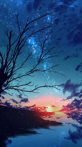 Preview wallpaper sunset, sky, branches, tree, particles, art