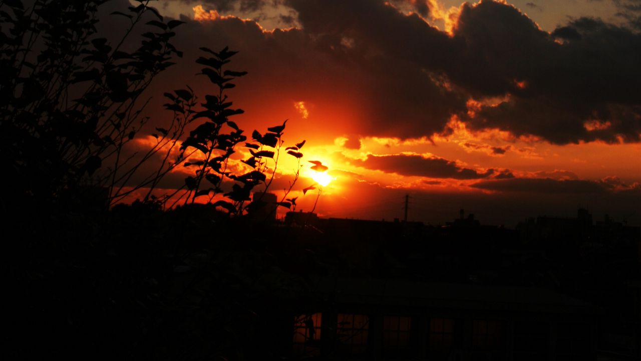 Wallpaper sunset, sky, clouds, branches