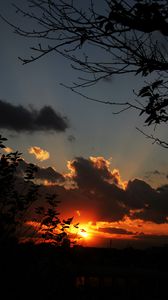 Preview wallpaper sunset, sky, clouds, branches