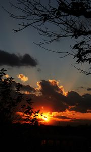 Preview wallpaper sunset, sky, clouds, branches