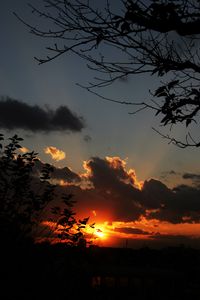 Preview wallpaper sunset, sky, clouds, branches