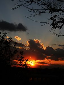 Preview wallpaper sunset, sky, clouds, branches