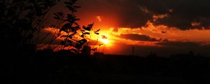 Preview wallpaper sunset, sky, clouds, branches