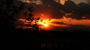 Preview wallpaper sunset, sky, clouds, branches