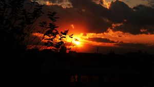 Preview wallpaper sunset, sky, clouds, branches