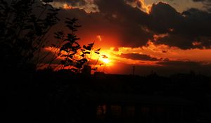 Preview wallpaper sunset, sky, clouds, branches