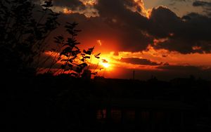 Preview wallpaper sunset, sky, clouds, branches