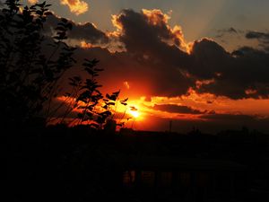 Preview wallpaper sunset, sky, clouds, branches