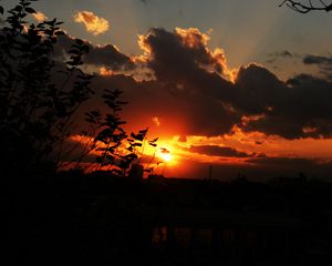 Preview wallpaper sunset, sky, clouds, branches