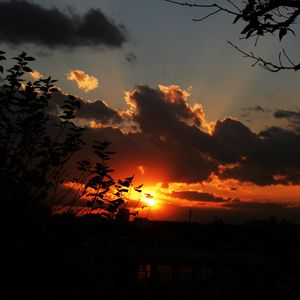 Preview wallpaper sunset, sky, clouds, branches