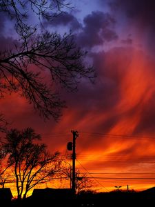 Preview wallpaper sunset, sky, clouds, silhouette, trees, wires, evening