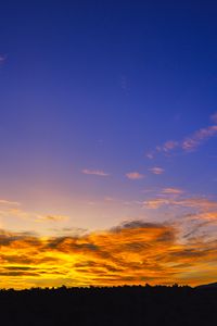 Preview wallpaper sunset, sky, clouds, trees, silhouette