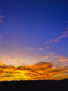 Preview wallpaper sunset, sky, clouds, trees, silhouette