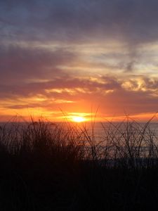 Preview wallpaper sunset, sky, grass, dusk