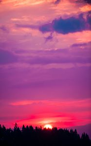 Preview wallpaper sunset, sky, pink, trees, sun
