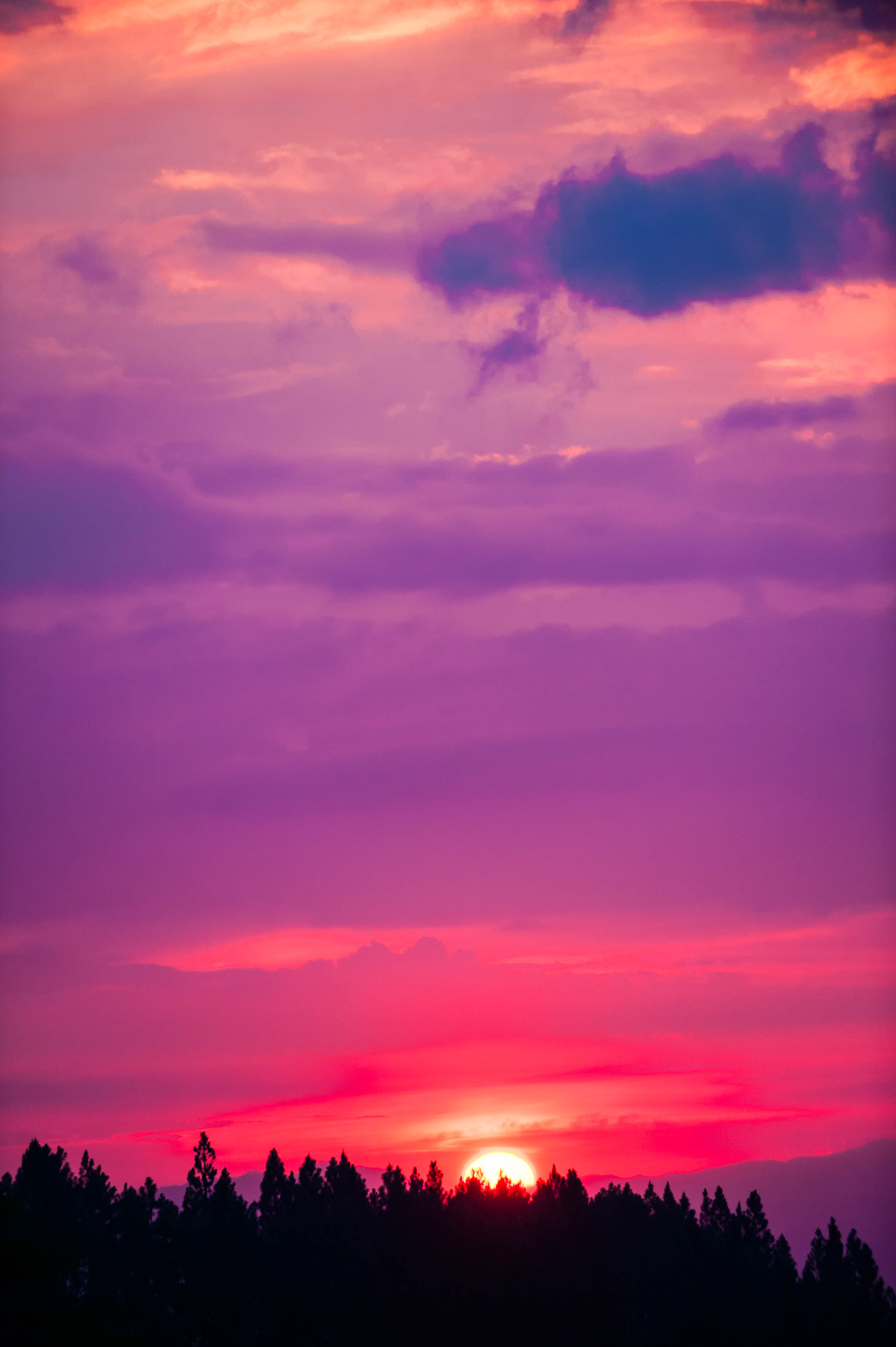 Download wallpaper 2832x4256 sunset, sky, pink, trees, sun hd background