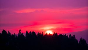 Preview wallpaper sunset, sky, pink, trees, sun