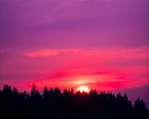 Preview wallpaper sunset, sky, pink, trees, sun