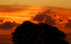 Preview wallpaper sunset, sky, trees, silhouette