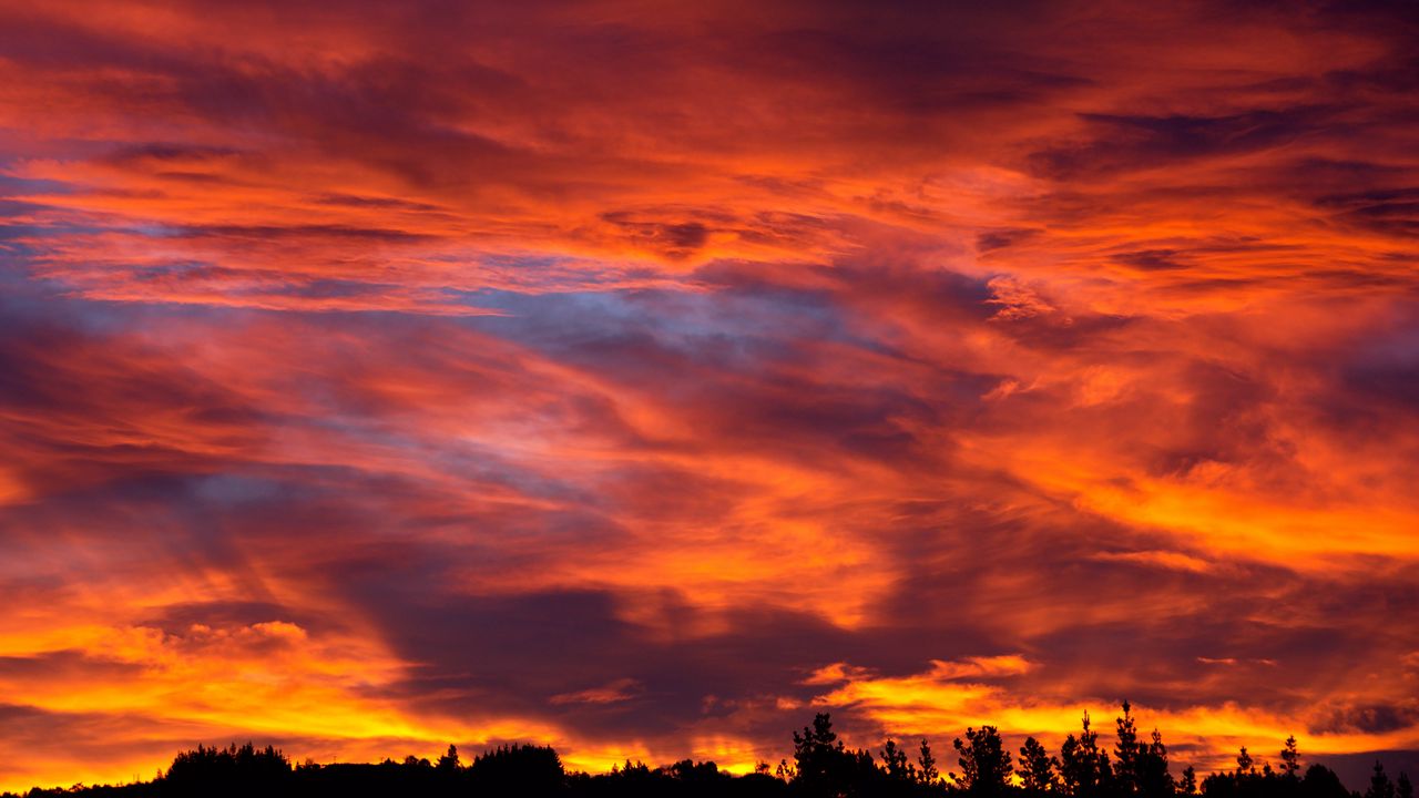 Wallpaper sunset, sky, trees, bushes, clouds
