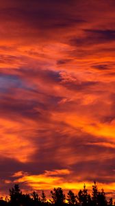 Preview wallpaper sunset, sky, trees, bushes, clouds