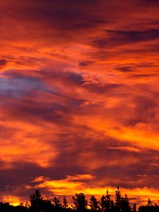 Preview wallpaper sunset, sky, trees, bushes, clouds