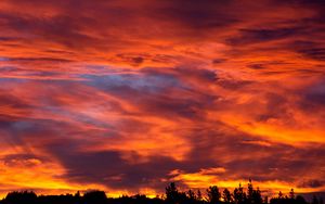 Preview wallpaper sunset, sky, trees, bushes, clouds