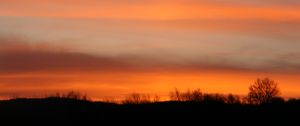 Preview wallpaper sunset, sky, trees, clouds, branches