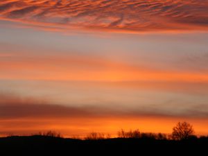 Preview wallpaper sunset, sky, trees, clouds, branches
