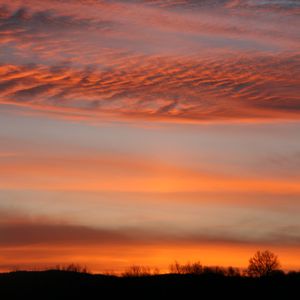 Preview wallpaper sunset, sky, trees, clouds, branches