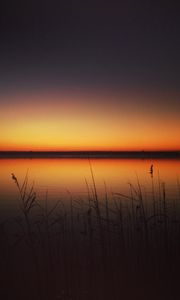 Preview wallpaper sunset, skyline, lake, grass