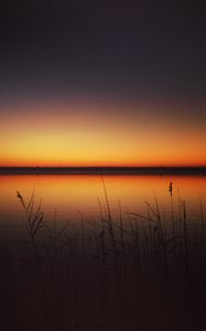 Preview wallpaper sunset, skyline, lake, grass