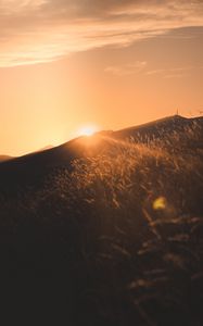Preview wallpaper sunset, slope, sun, hill, rays
