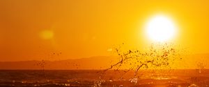 Preview wallpaper sunset, spray, sea, sun, horizon
