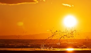 Preview wallpaper sunset, spray, sea, sun, horizon