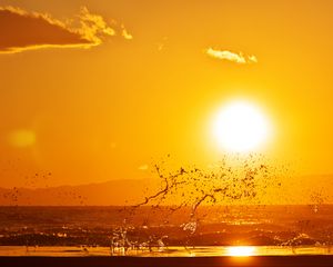 Preview wallpaper sunset, spray, sea, sun, horizon