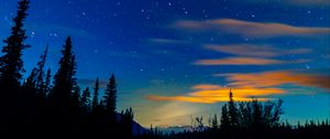 Preview wallpaper sunset, spruce, trees, sky, stars