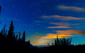 Preview wallpaper sunset, spruce, trees, sky, stars