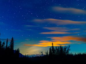 Preview wallpaper sunset, spruce, trees, sky, stars