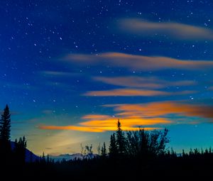 Preview wallpaper sunset, spruce, trees, sky, stars