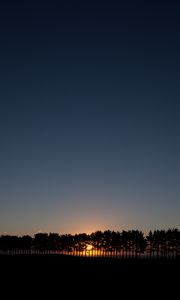 Preview wallpaper sunset, spruce, trees, sky, sun