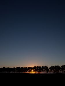 Preview wallpaper sunset, spruce, trees, sky, sun