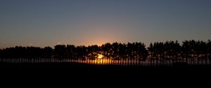Preview wallpaper sunset, spruce, trees, sky, sun