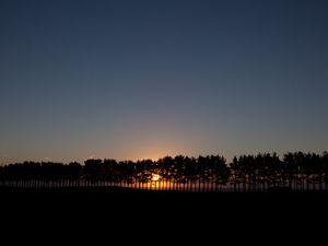 Preview wallpaper sunset, spruce, trees, sky, sun