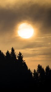 Preview wallpaper sunset, spruce, trees, clouds
