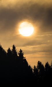 Preview wallpaper sunset, spruce, trees, clouds